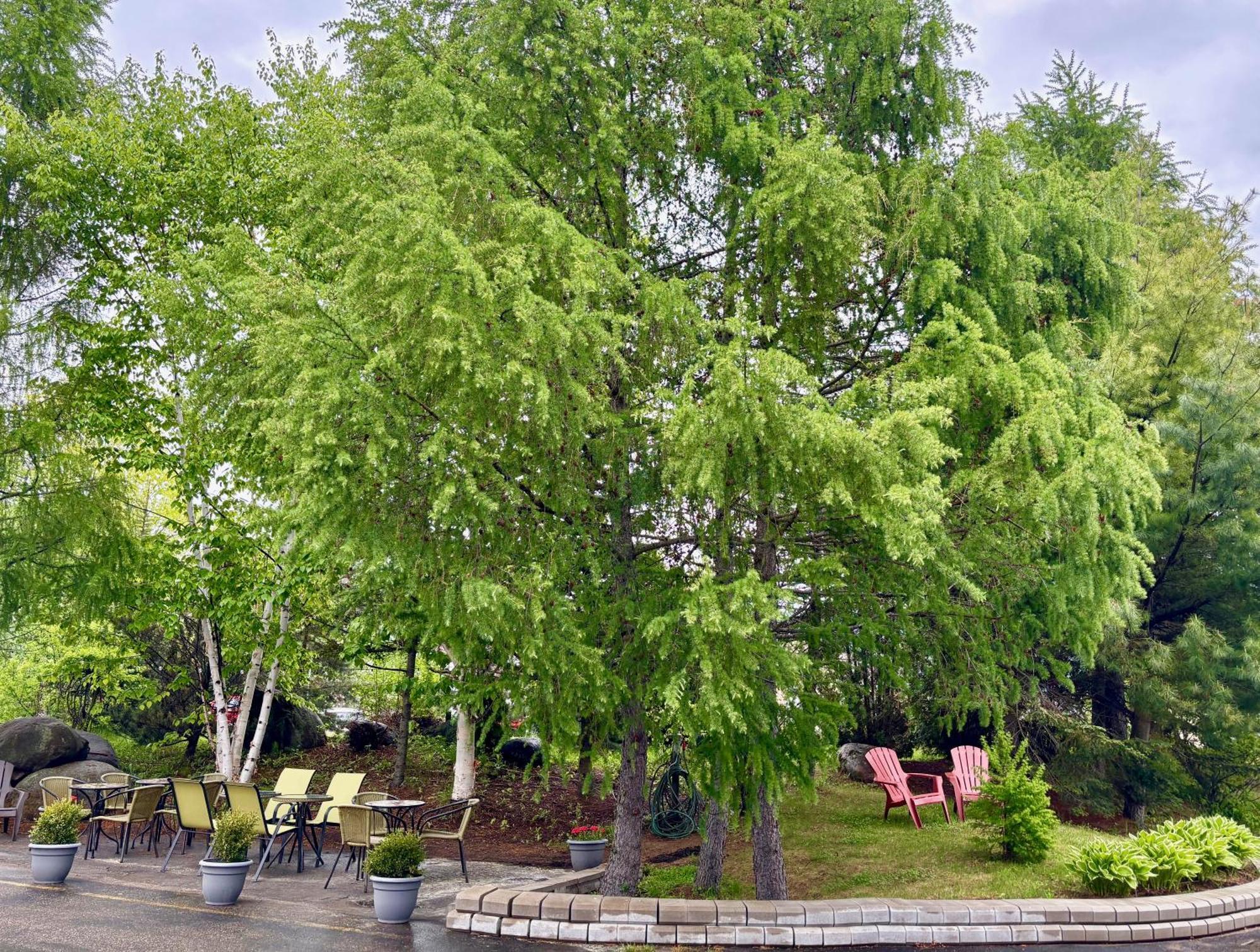Motel Boutique Hygge 拜圣保罗 外观 照片